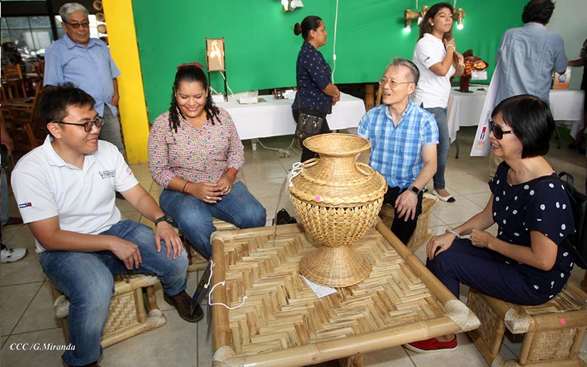 bambu